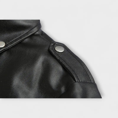 Stylish bomber jacket